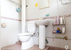 Blk 246 Bishan Street 22 (Bishan), HDB 4 Rooms #638365491
